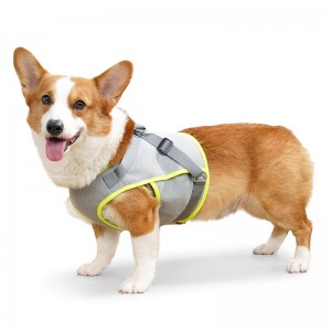 Mesh Breathable Kāohi Heatstroke Pet Cooling Harness