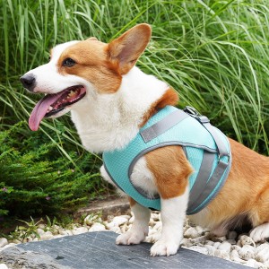 Mesh Breathable Aukati Heatstroke Pet Cooling Harness
