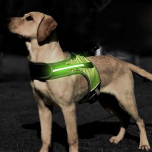 Luminous Led Adjustable Flash Chest Vest Pet Harness