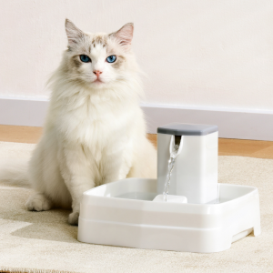 Vendita calda Alimentatore d'acqua automaticu per animali domestici