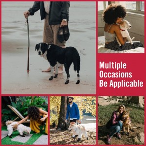 4 Pack Outdoor Spadséiergank Anti Rutsch Sole Dog Stiwwelen