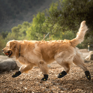 Святлоадбівальныя палоскі Трывалая супрацьслізготная падэшва Pet Boots Paw Dog Shoes