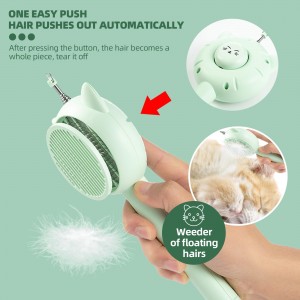 5 sa 1 Portable USB Laser Pet Hair Removal Brush