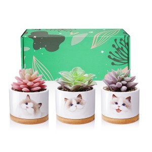 Fake Artificial Succulents Cog Ceramic Pots Cat Planter Gifts Home Decor