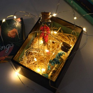 Мини стаклени шишиња Тегли со дрвени тапи од плута Декорации Подарок Шише со порака со желби