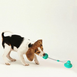 Rubber Pet Chew Toys Non-toxic Interactive Ngipon Paglimpyo ug Squeaky Dog Toys