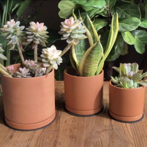 Terracotta Pots ከውሃ ማስወገጃ እና ከሳዉር ጋር ዘመናዊ የቤት ማስጌጫ