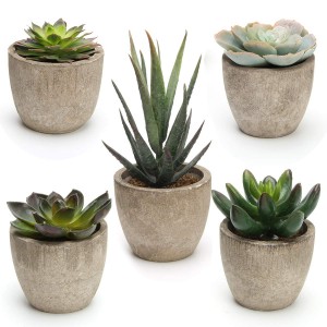 Piante succulente artificiali Cactus finti in vaso Decorazioni per la casa