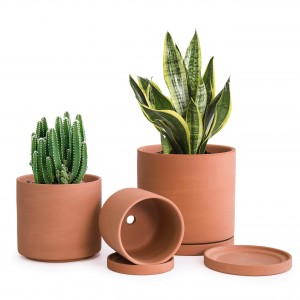 Terracotta Pots Succulent Planter ak drenaj ak sokoup modèn Home Decor
