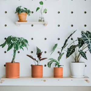 Terracotta Pots Succulent Planter ak drenaj ak sokoup modèn Home Decor
