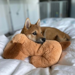 Snuggle Puppy Heartbeat-knuffel