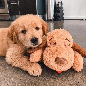 Snuggle Puppy Heartbeat udstoppet legetøj