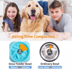 Verhënneren Choking Gesond Slow Feeder Dogs Bowl