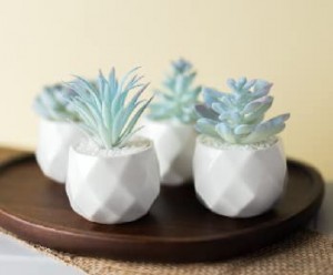 Сині штучні сукуленти, керамічні горщики, штучні рослини, декор для домашнього столу