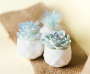 Plante suculente artificiale albastre Ghivece din ceramica Plante artificiale Decor birou