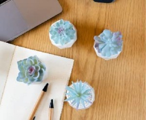 Blue Artificial Succulent Plants Ceramic Pots Faux Plant Home Desk Decor