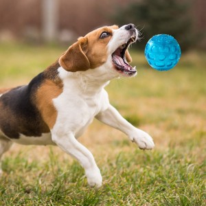 3.2 Inch Matibay na Rubber Squeak Pet Dog Balls