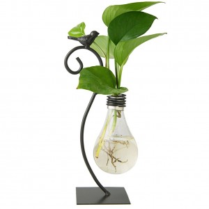 Plantador de vidro de mesa vaso de hidroponia vaso de lâmpada decoração de casa