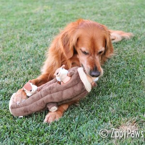 Abscondam et quaerite Dog Toys et Squeaky puppy Toys