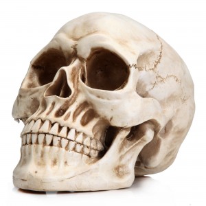 Modeli i Kafkës Njerëzore të Halloween 1:1 Replika realiste Modeli i kockës së kokës së kafkës