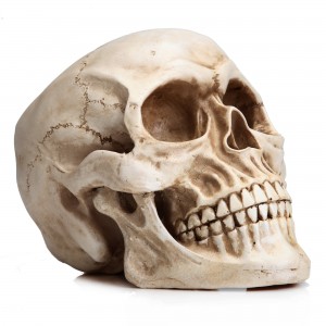 Halloween Dehenya Romunhu Muenzaniso 1: 1 Replica Realistic Skull Head Bone Model