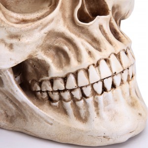 Modelo de cráneo humano de Halloween réplica 1:1 modelo de hueso de cabeza de cráneo realista