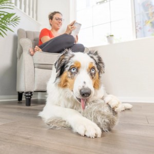 Pet Doggie Tail interaktiivsed plüüsist koeramänguasjad