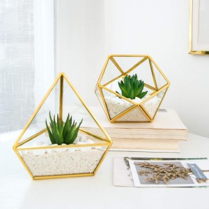 Zavamaniry Succulent artifisialy amin'ny haingo amin'ny efitranon'ny Terrarium Glass Geometric