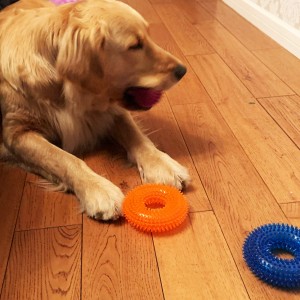 Anjing nyapek Toys pikeun Anjing Sedeng Leutik piaraan Toys pikeun anak anjing