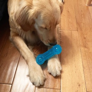 Küçük Orta Köpekler için Köpek Çiğneme Oyuncakları Yavru Köpekler için Evcil Hayvan Oyuncakları