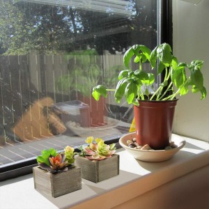 Mga Artipisyal na Succulents sa Kaldero Mini Faux Plants Home Desk Decor