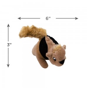 Qari-A-Squirrel Squeaky Puzzle Plush Dog Toy