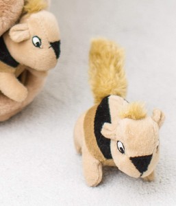 Boye-A-Squirrel Squeaky Puzzle Plush Dog Toy