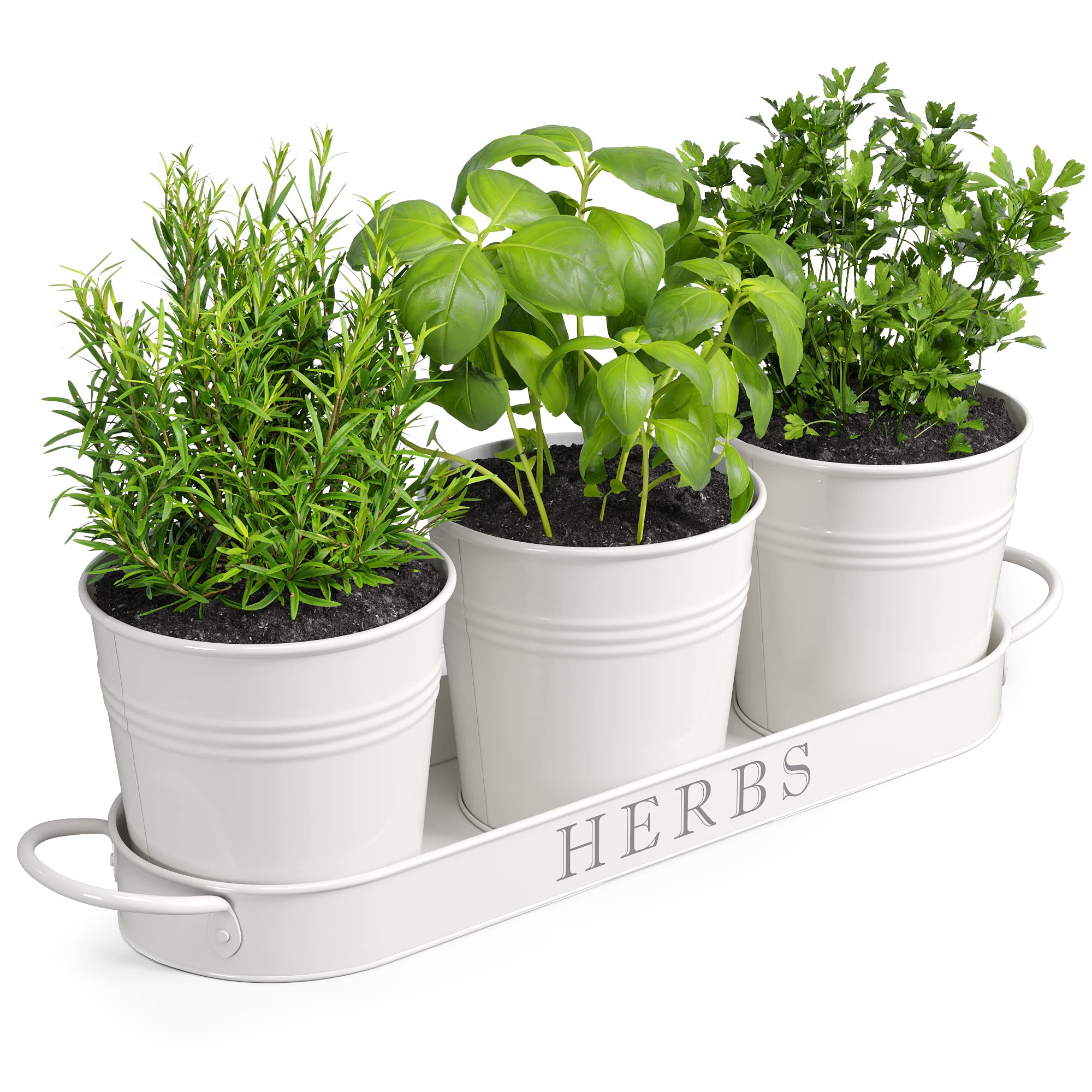 Herb Garden Indoor Planter ສວນດອກໄມ້ ອອກແບບປ່ອງຢ້ຽມ