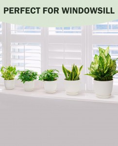 Plastiekplanterblompot binnenshuise moderne dekor met dreineringsgat en skinkbord