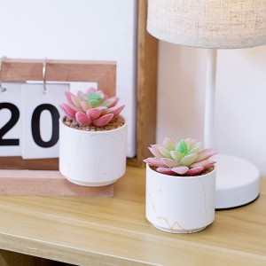 Decorazioni per la scrivania della casa con vasi in ceramica per piante grasse artificiali finte