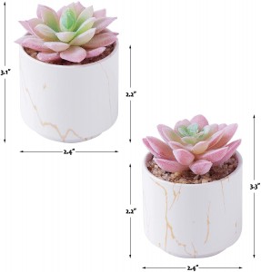 Sakse qeramike Succulents artificiale të rreme Dekor tavoline shtëpie