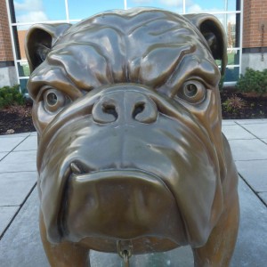 Outdoor Decoration Life Size Brass Bulldog Statue Bronze Dog Sculpture For Sale
