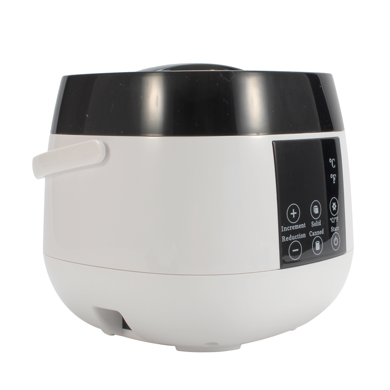 Faceshowes Summer Holiday electric wax warmer/paraffin wax heater with wax beans for hand FL-2