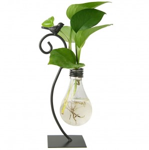 Desktop Glass Planter Hydroponics Vase,Planter Bulb Vase with Holder for Home Decoration,Modern Creative Bird Plant Terrarium Stand, Scindapsus Container