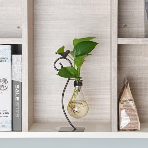 Bordsglaskruka Hydroponics Vas, Planter Bulb Vas med hållare för heminredning, Modern Creative Bird Plant Terrarium Stand, Scindapsus Container