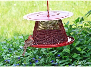 Factory Outlets China Aangepaste Clear Acryl Bird Window Feeder