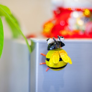 Insekten-Kühlschrankmagnete aus Metall für den Dekorationshersteller Sino Glory