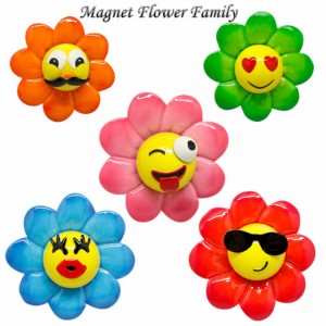ម៉ាញេទិចទូរទឹកកក 3d Cute Flower Family for Fridge Decoration Magnets China Factory
