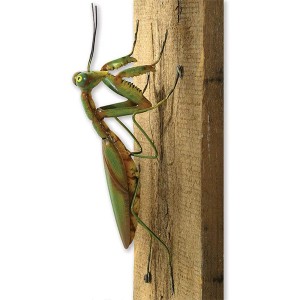 Praying Mantis Tree Hanger – Matibay na Garden Peeker Yard Art – Tree Sculpture Garden Dekorasyon