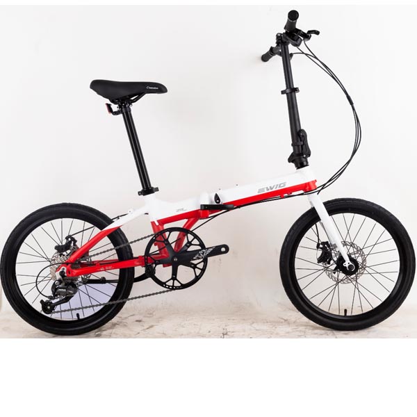 China wholesale Carbon Fiber Folding Bike - Folding bike cheap foldable bicycle for sales from China supplier | EWIG – Ewig