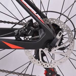 Carbon fiber electric mountain bike for wholesales | Ewig