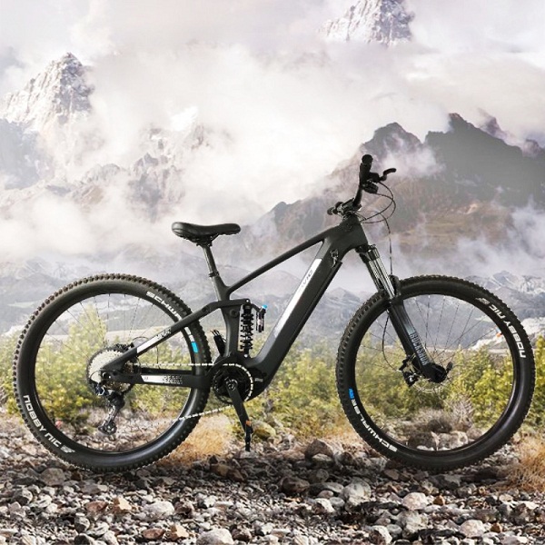 China wholesale Carbon Electric Bike - Carbon Fiber E Mountain Bike Wholesale | EWIG – Ewig