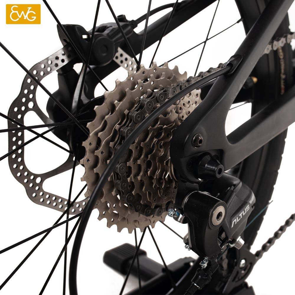 https://www.ewigbike.com/carbon-folding-bike-for-adults-20inch-wheel-shimano-9-speed-easy-folding-dis-brake-bike-ewig-product/