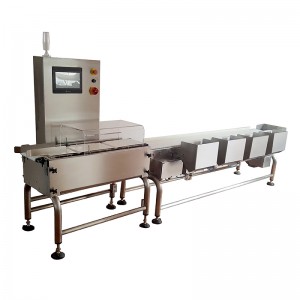 Quality Inspection for High-Quality Food Industry Metal Detectors Manufacturers - Fanchi-tech Multi-sorting Checkweigher – Fanchi-tech